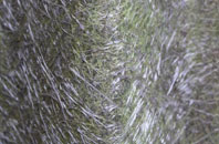 Easenhall fibreglass roof work